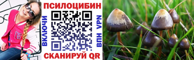 это какой сайт  наркота  Питкяранта  Псилоцибиновые грибы ЛСД 